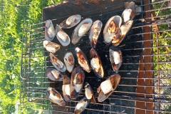 IMG_20230813_191829
